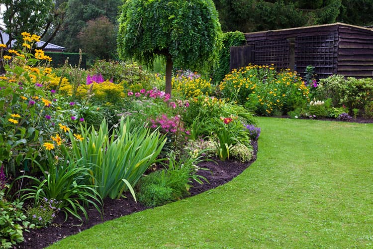 Garden Design & Planting
