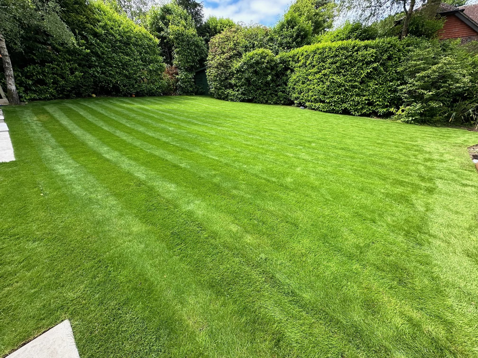 Lawn Care Services